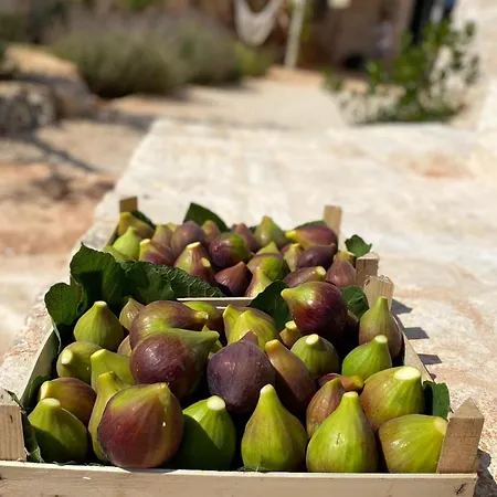 빌라 Trulli Satia 오스투니