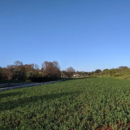 Trulli Satia 빌라 오스투니