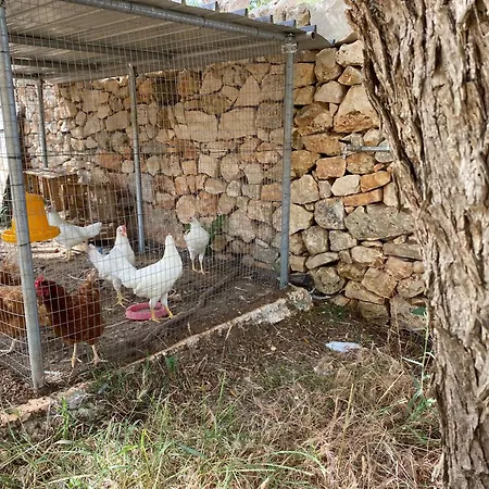 Trulli Satia * Ostuni